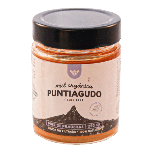 Miel Praderas 250 grs