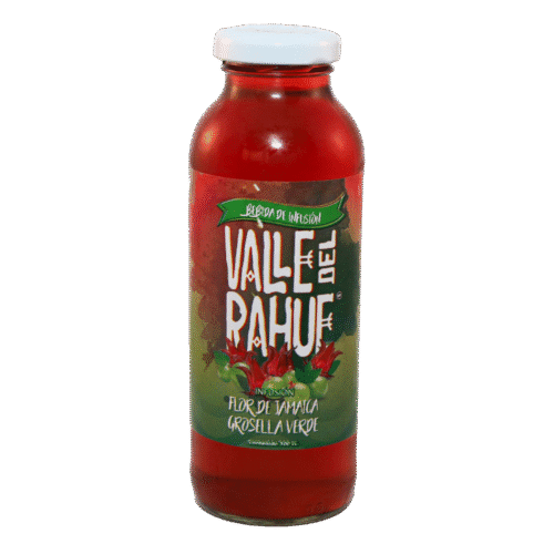 Jugo Flor de Jamaica 300 cc