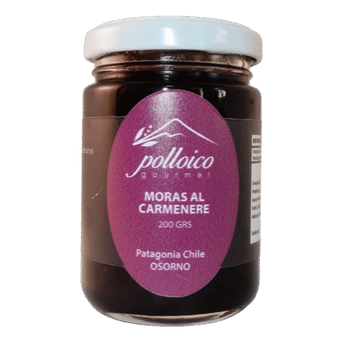 Chutney sabor moras al carmenere