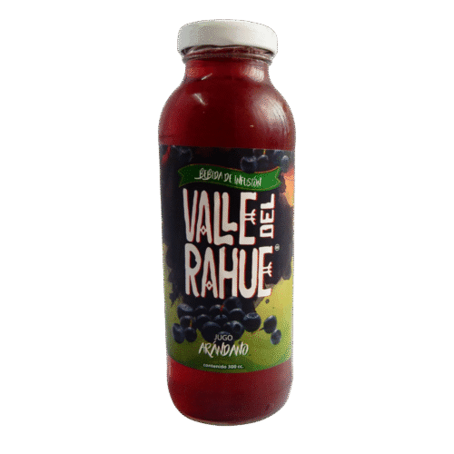 Jugo Arándano-Maqui 250 cc