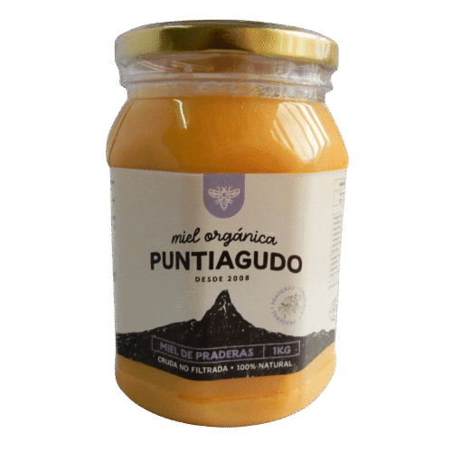 Miel Praderas 1 kg
