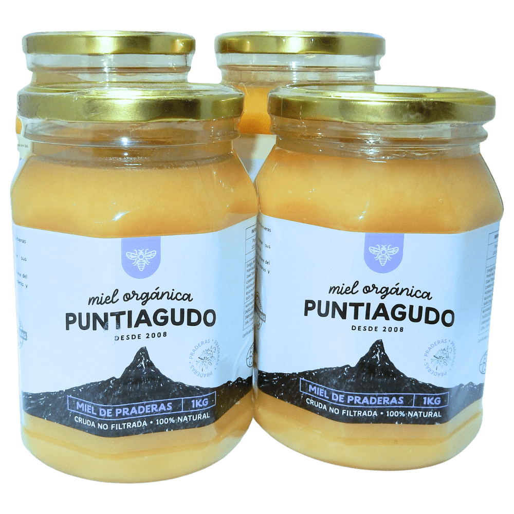 Pack 4 kg – Miel Orgánica de Praderas no filtrada