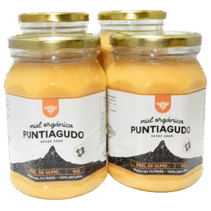 Pack 4 kg – Miel Orgánica de Ulmo no filtrada