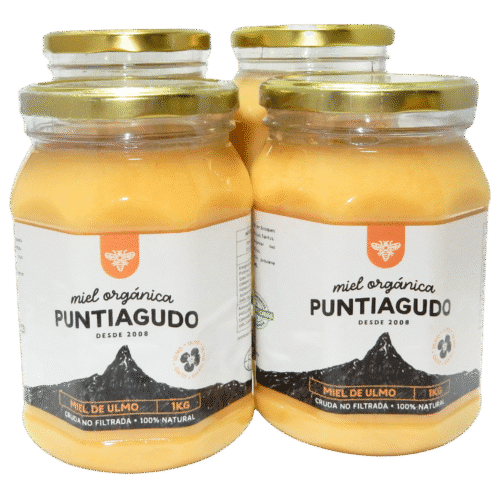 Pack 4 kg – Miel Orgánica de Ulmo no filtrada