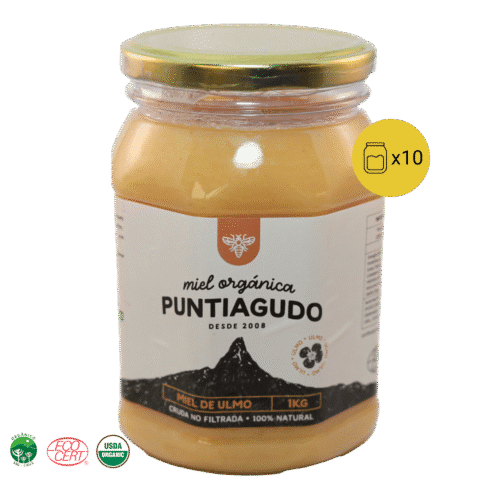 Pack 10 kg – Miel Orgánica de Ulmo no filtrada